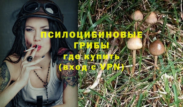первитин Белоозёрский