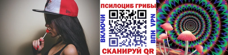 закладки  Ворсма  Псилоцибиновые грибы мухоморы 