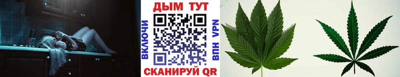 купить   Ворсма  ссылка на мегу зеркало  Бошки марихуана Amnesia 